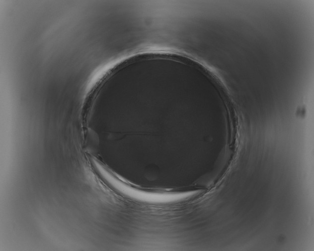 X0000111641319200907311242