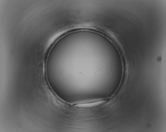 X0000111641320200907311242