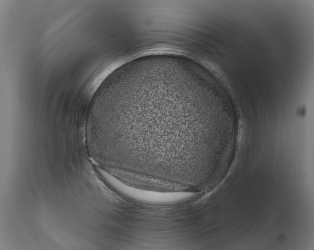 X0000111641321200907311242