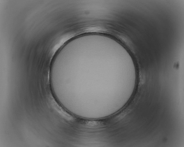 X0000111641322200907311242