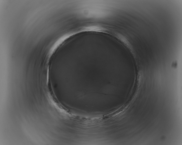 X0000111641323200907311242