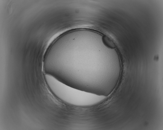 X0000111641324200907311242