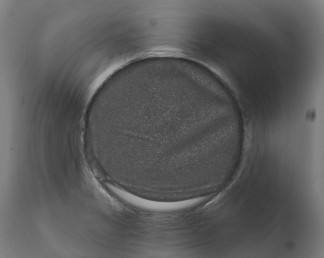 X0000111641325200907311242