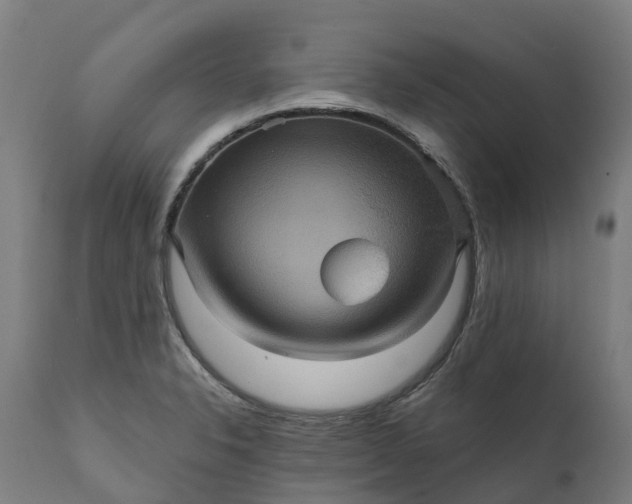 X0000111641326200907311242