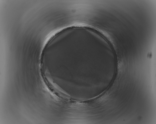 X0000111641327200907311242