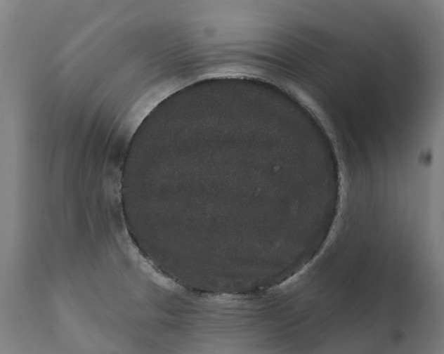 X0000111641329200907311242