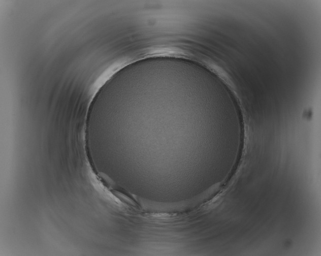 X0000111641330200907311242