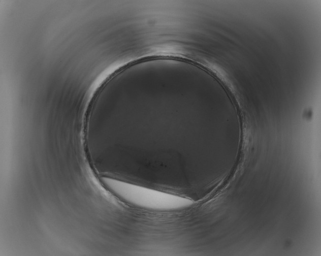 X0000111641331200907311242