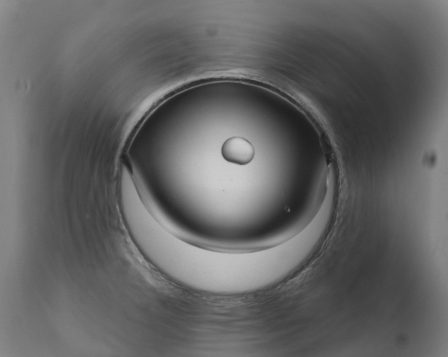 X0000111641332200907311242