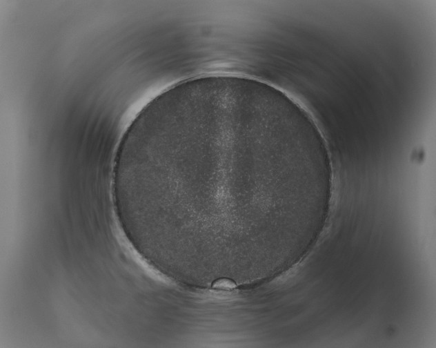 X0000111641333200907311242