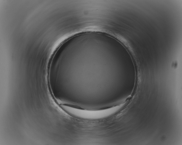 X0000111641334200907311242