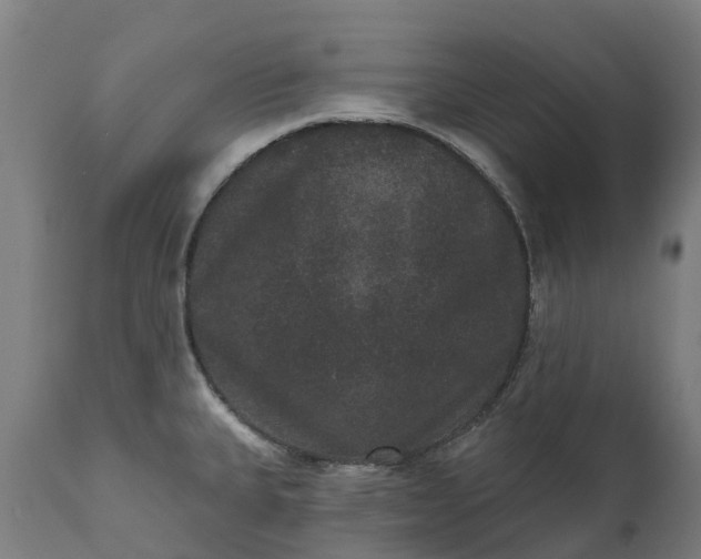 X0000111641335200907311242