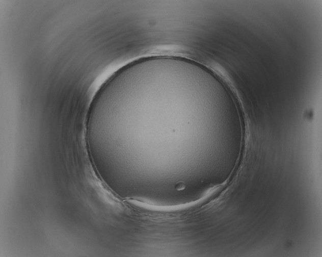 X0000111641336200907311242