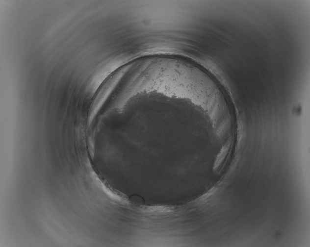 X0000111641337200907311242