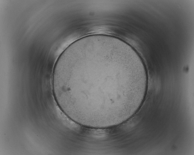 X0000111641338200907311242