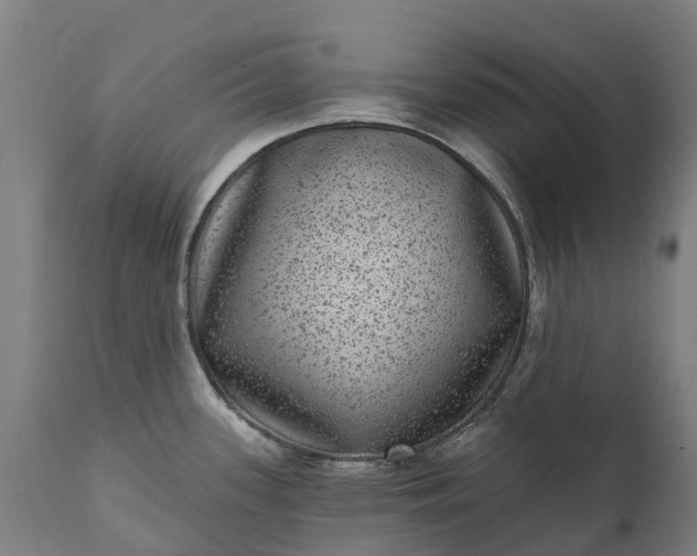 X0000111641339200907311242