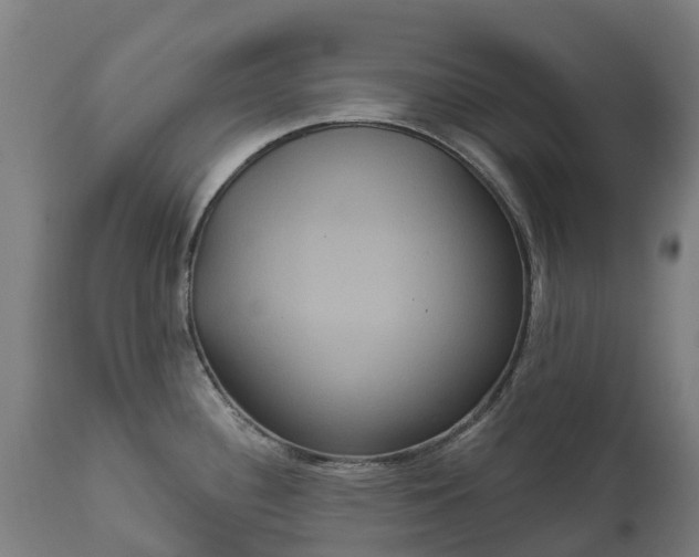 X0000111641340200907311242