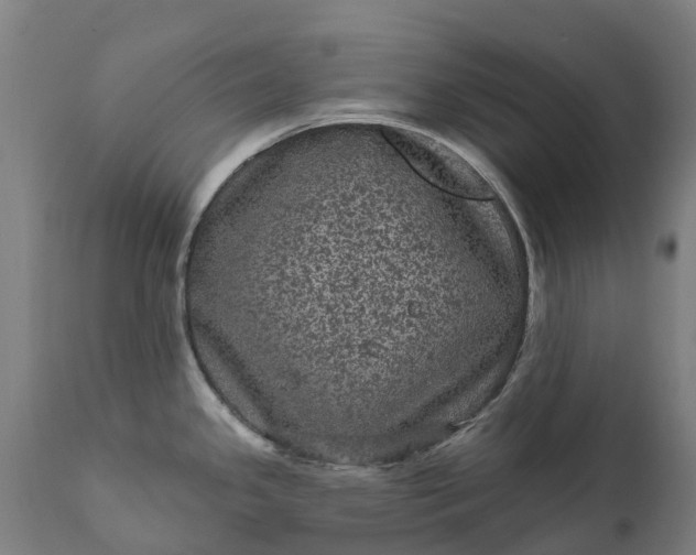 X0000111641341200907311242