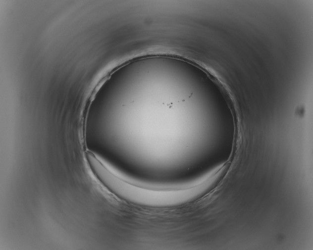 X0000111641342200907311242