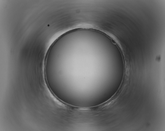 X0000111641343200907311242