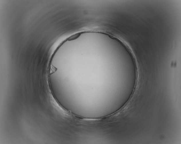 X0000111641344200907311242