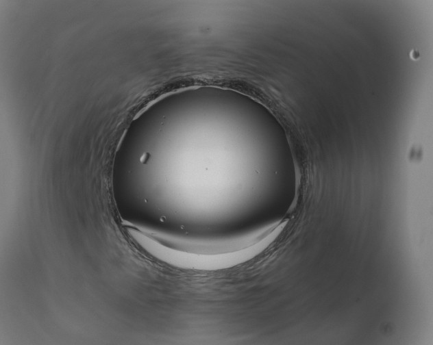 X0000111641345200907311242