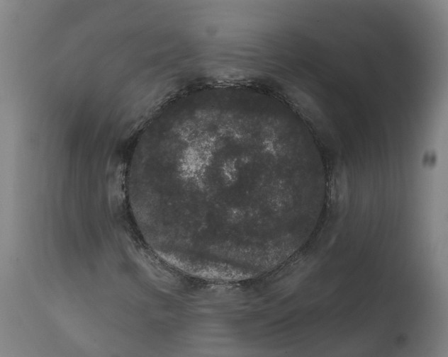 X0000111641346200907311242