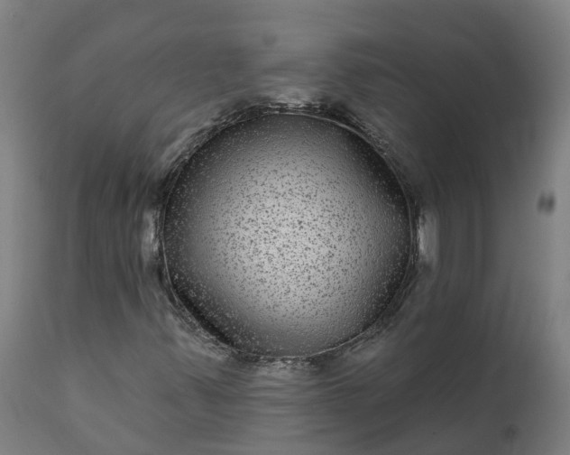 X0000111641347200907311242