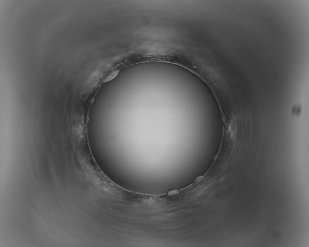 X0000111641348200907311242