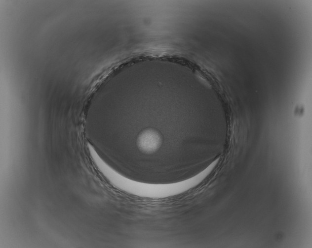 X0000111641349200907311242