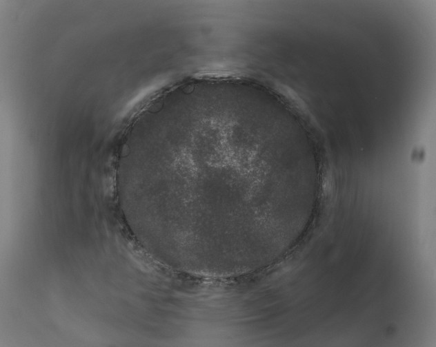 X0000111641350200907311242