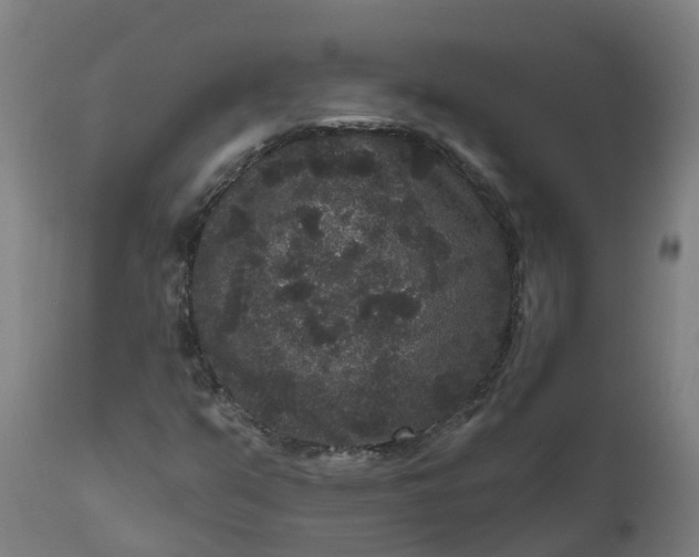 X0000111641351200907311242