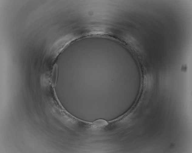 X0000111641353200907311242