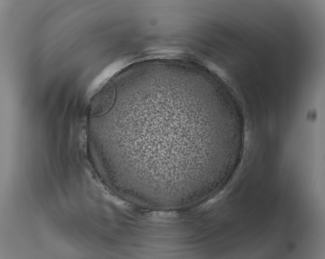 X0000111641354200907311242