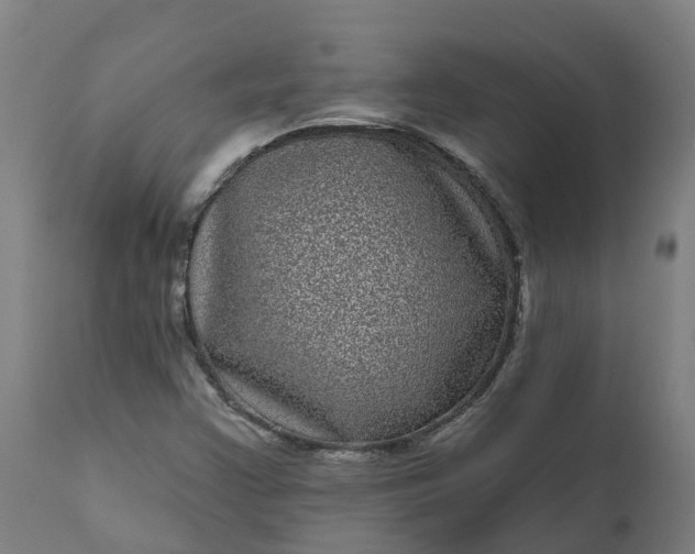 X0000111641355200907311242