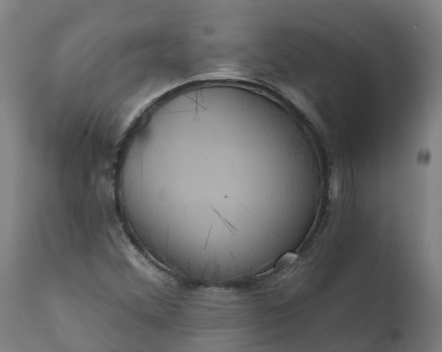 X0000111641356200907311242