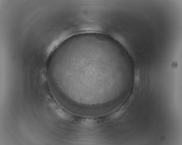 X0000111641357200907311242