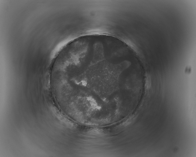 X0000111641358200907311242