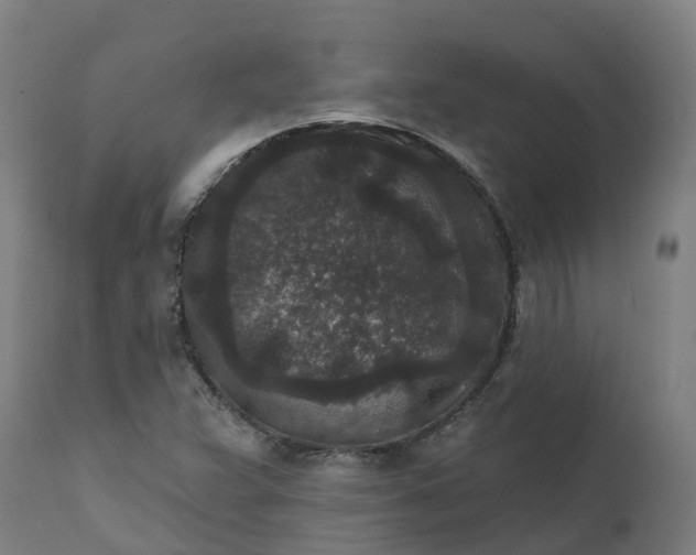 X0000111641359200907311242