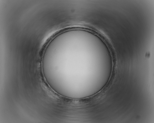 X0000111641360200907311241