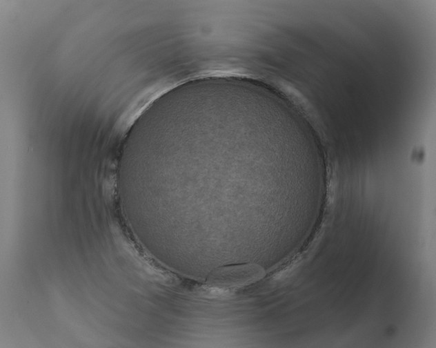 X0000111641361200907311241