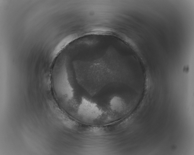 X0000111641362200907311241