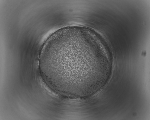 X0000111641363200907311241