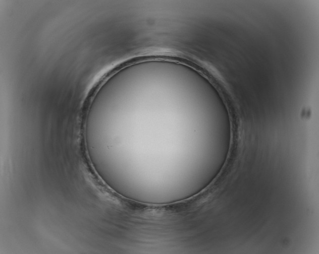 X0000111641364200907311241