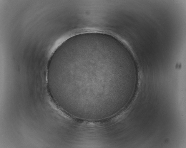 X0000111641365200907311241