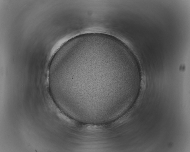 X0000111641366200907311241