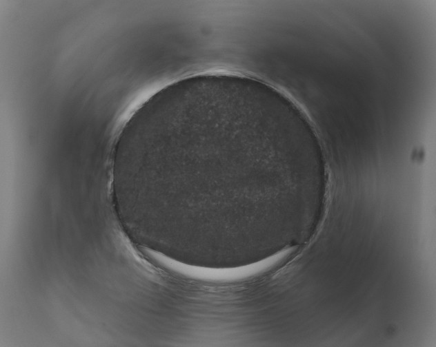 X0000111641367200907311241