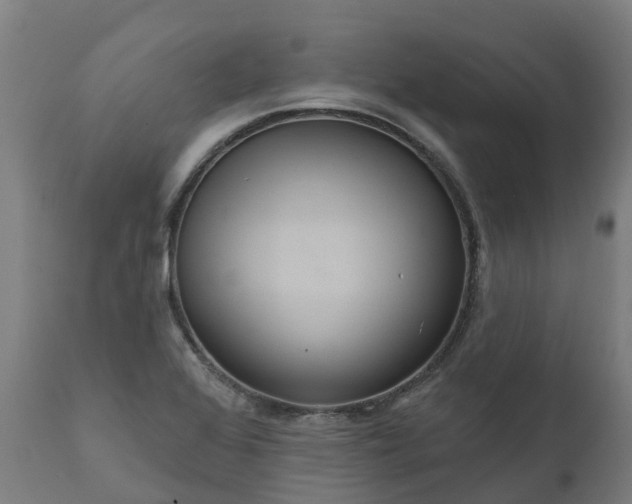 X0000111641368200907311241