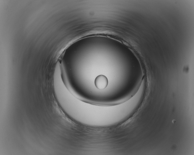 X0000111641369200907311241