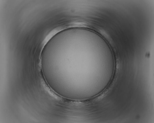 X0000111641370200907311241